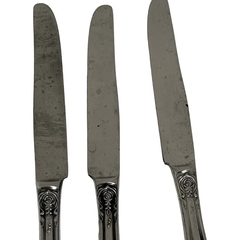 Stanley Roberts Stainless Lady JoAnn 1 Dinner Knife 9 1/8